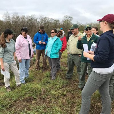 A group of people listen to a women describe the invasive properties of a new invasive herbaceous plant found in the area.