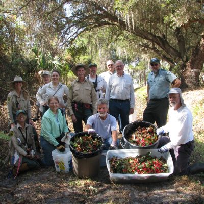A group of people pose for a group photo while displaying the large quantity of coral ardisia they pulled that morning as part of an invasive species volunteer day.
